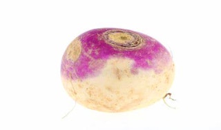 Turnip