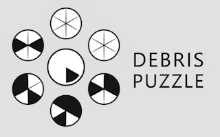 Debris Puzzle