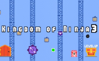 Kingdom of Ninja 3
