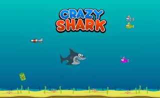 Crazy Shark