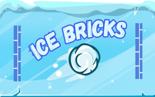 Ice Bricks