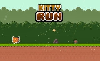 Kitty Run