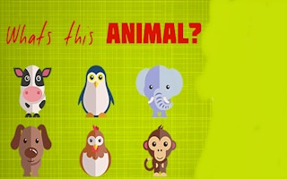 What's That Animal