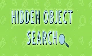 Hidden Object Search