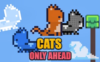 Cats Only Ahead