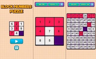 Block Numbers Puzzle