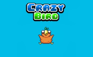 Crazy Bird