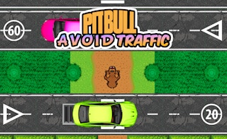 Pit Bull Avoid Traffic