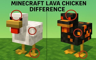 Minecraft Lava Chicken Difference