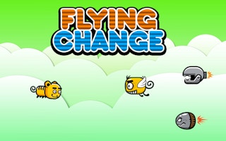 Flying Change