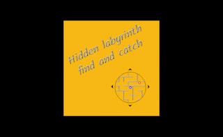 Hidden labyrinth - find and catch