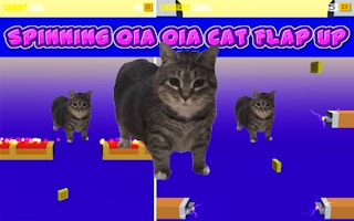 Spinning Oia Oia Cat Flap Up