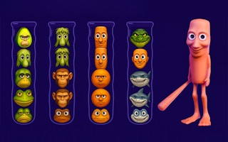 Brainrot Mind Puzzle Sort Challenge