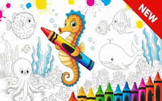Sea Animal Coloring Book