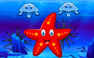 Survival Starfish